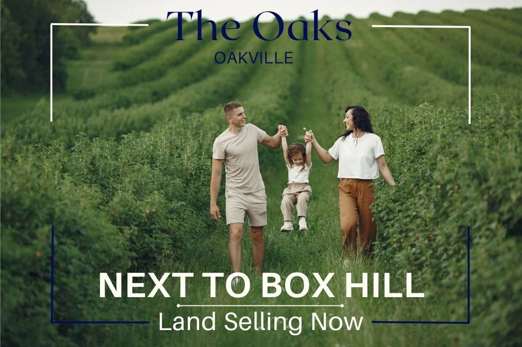 305 Commercial Road, Oakville NSW 2765