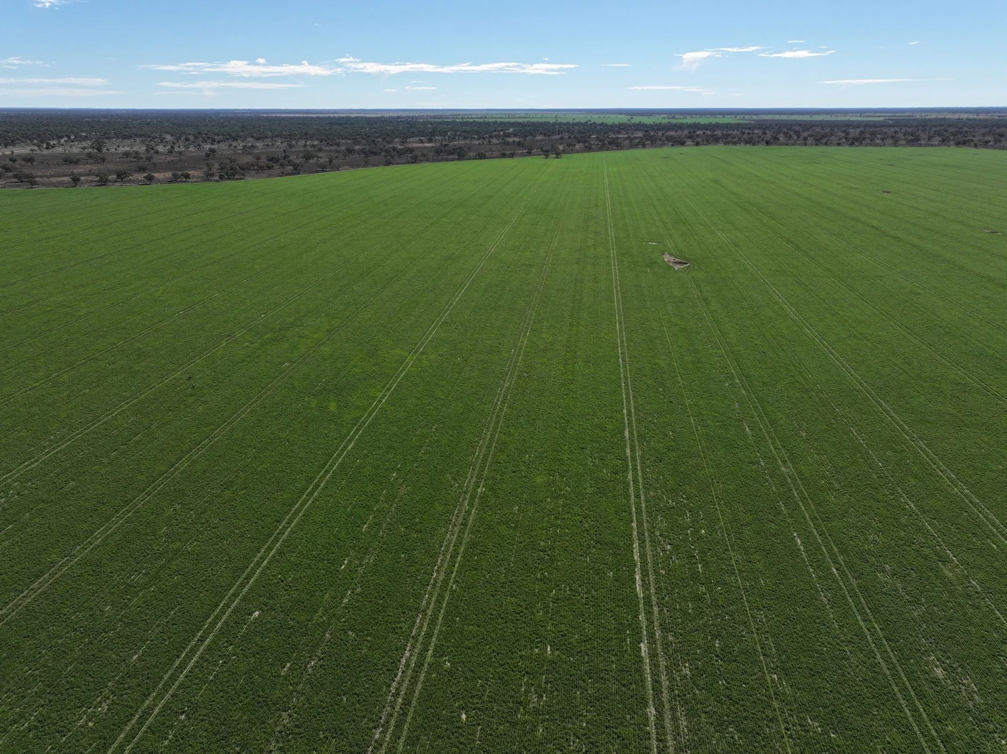 Additional image 3 of 1127 Green and Branders Road, Carinda NSW 2831