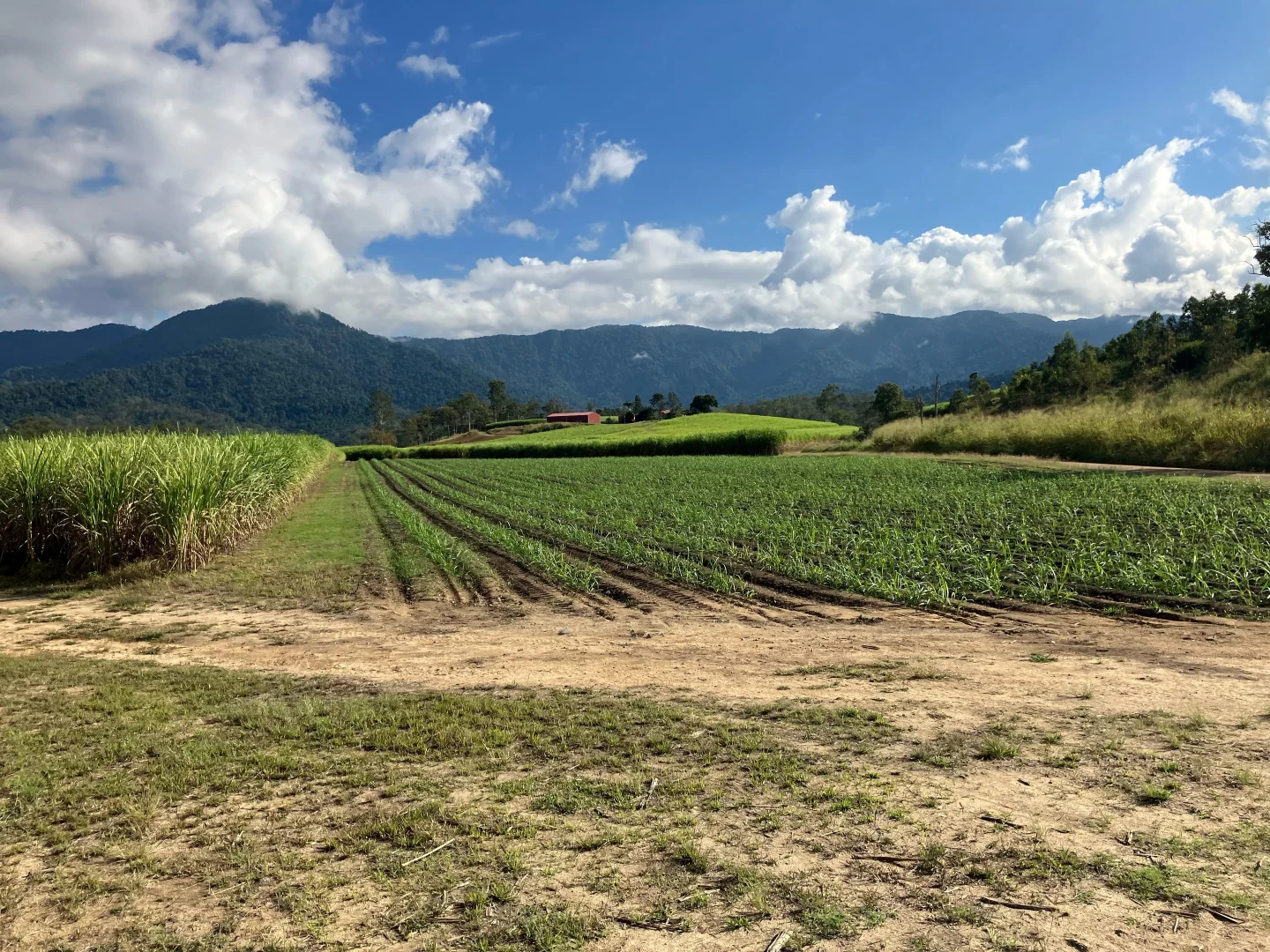 Additional image 31 of Finch Hatton QLD 4756