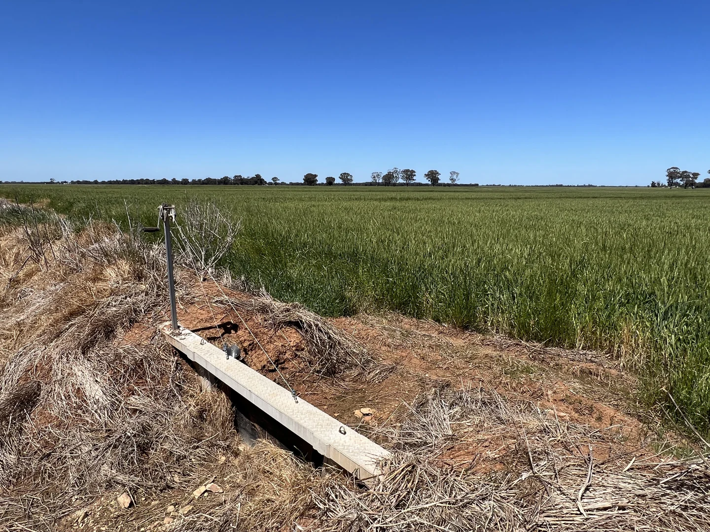 Additional image 3 of 678 Back Barooga Road, Barooga NSW 3644