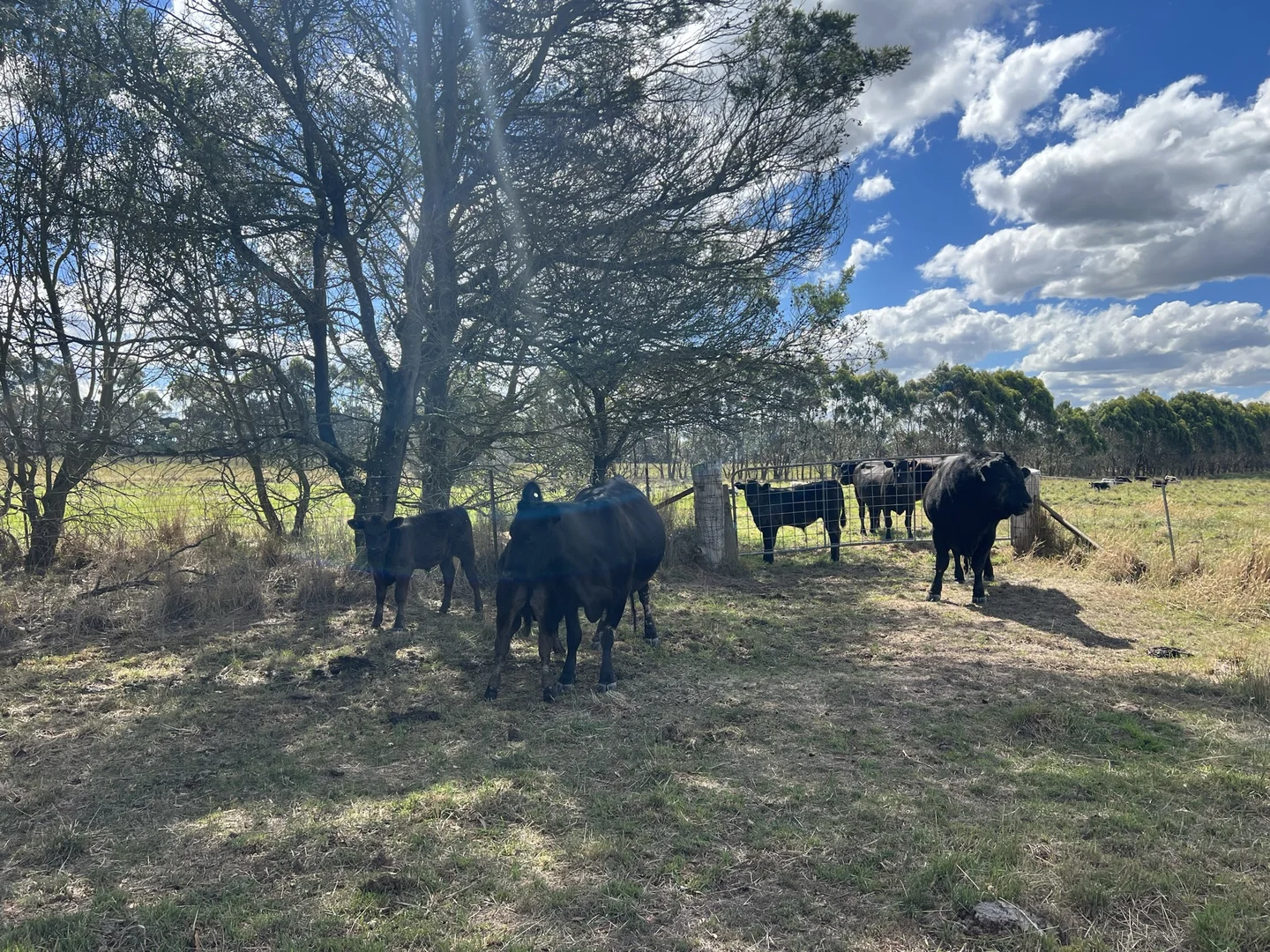 Additional image 26 of Lot 1 Mount Rae Road, Roslyn, Crookwell NSW 2583