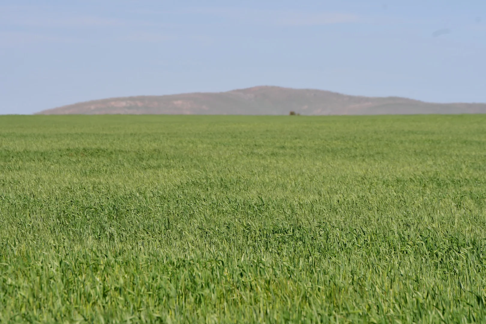 Additional image 12 of 26 Amyton Road, Willowie SA 5431