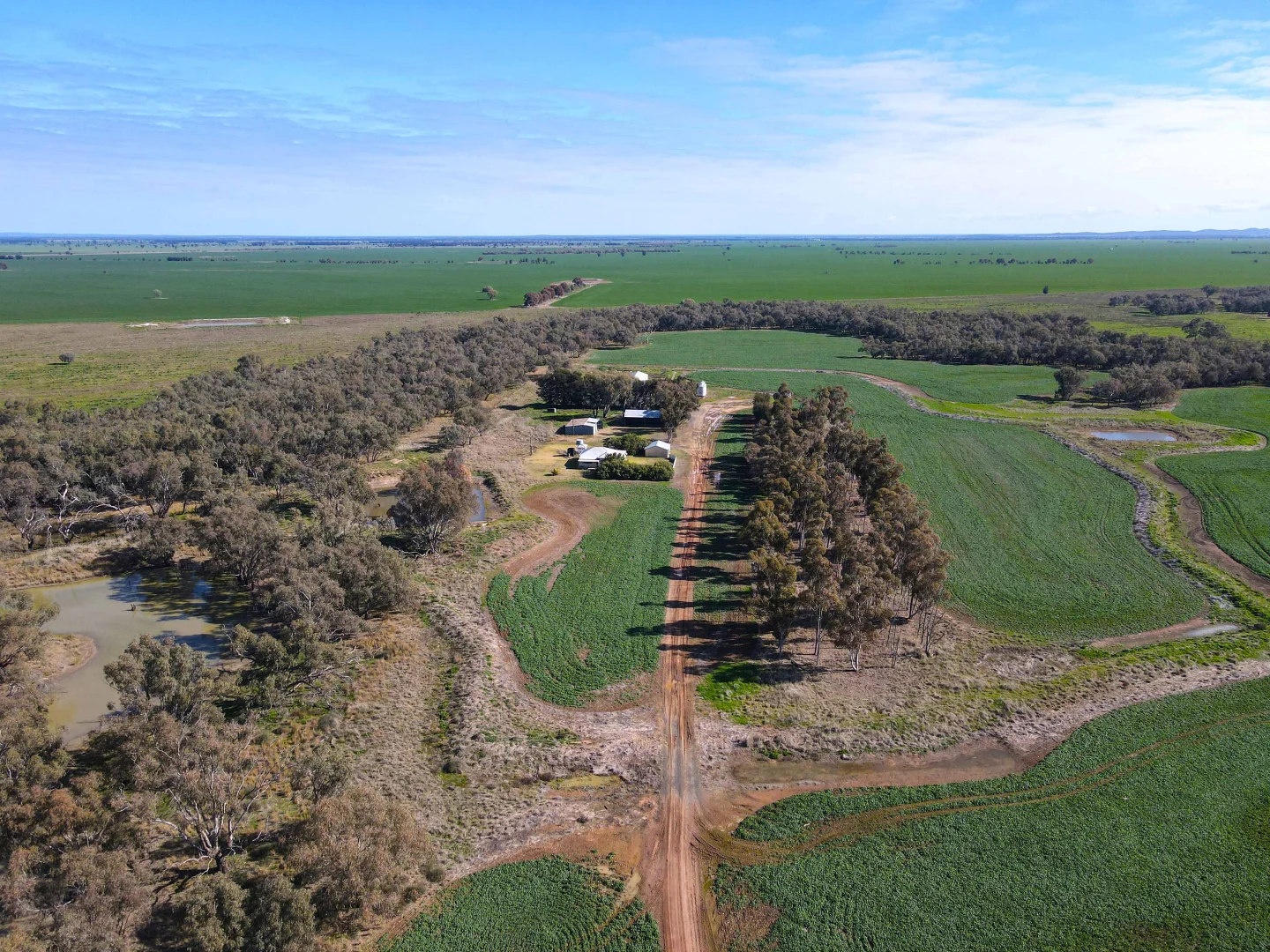 Additional image 12 of 'Williams Crossing' 139 Harris Lane, Quandialla NSW 2721