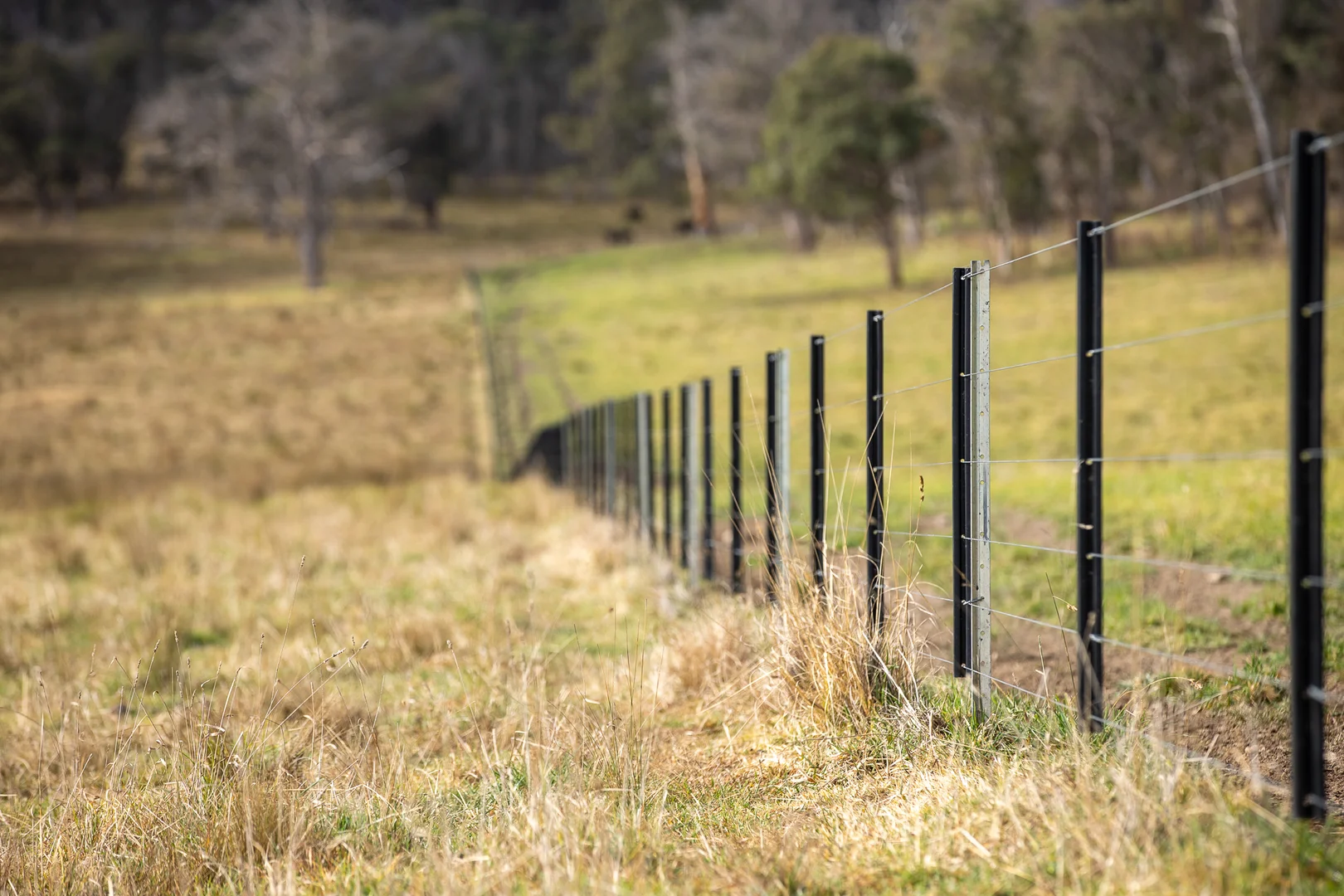 Additional image 21 of 737 Dyamberin Road, Wongwibinda NSW 2350