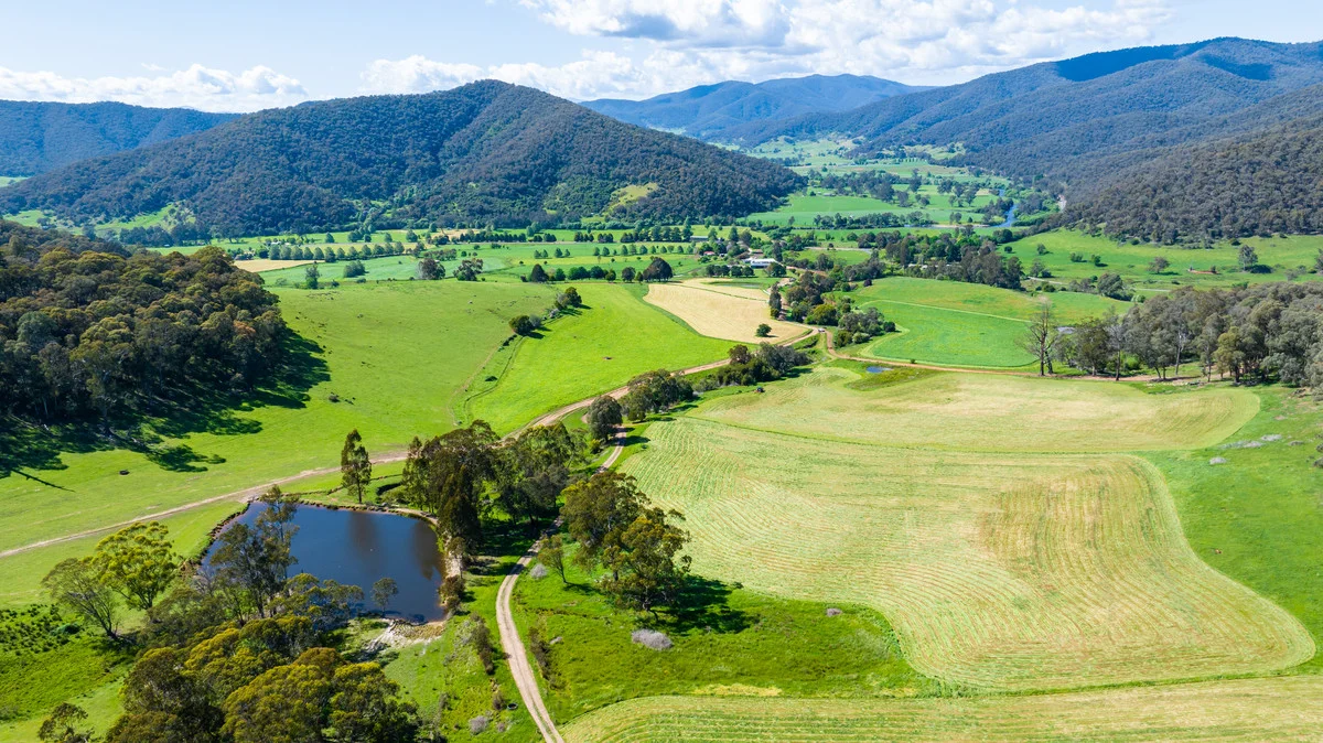 Additional image 11 of 3082 Omeo Highway, Tallandoon VIC 3701