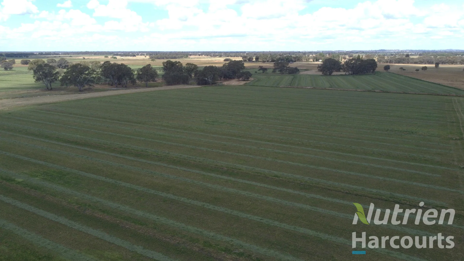 Additional image 6 of . Echuca Nanneella Road, Nanneella VIC 3561