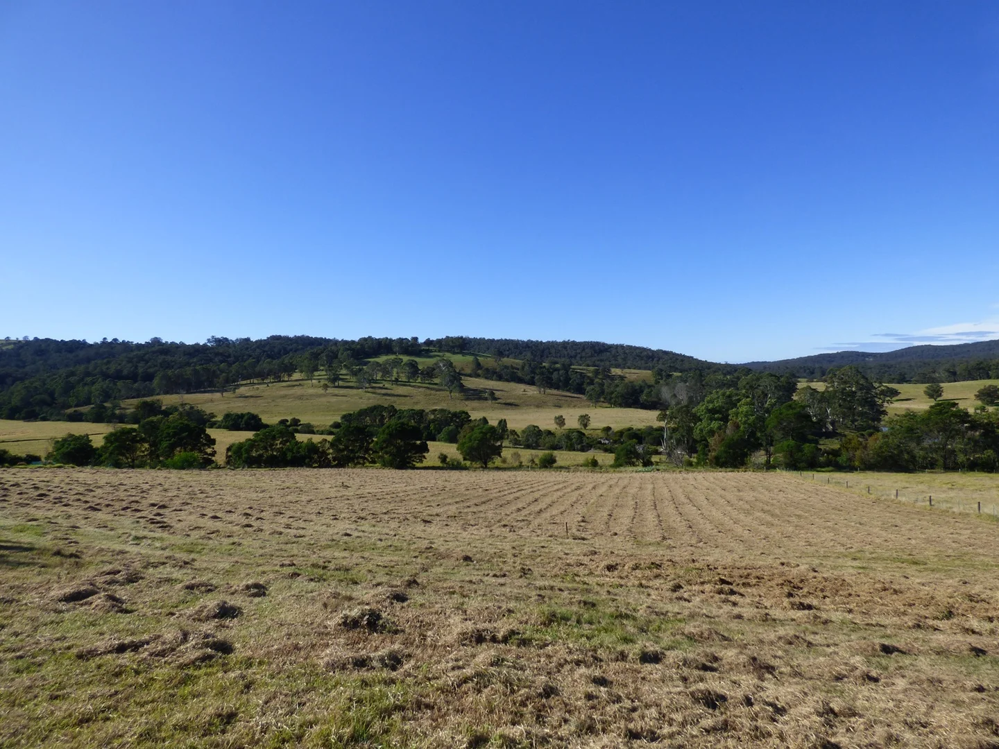 Additional image 8 of Lot 4 Mallyon Close, Lochiel NSW 2549