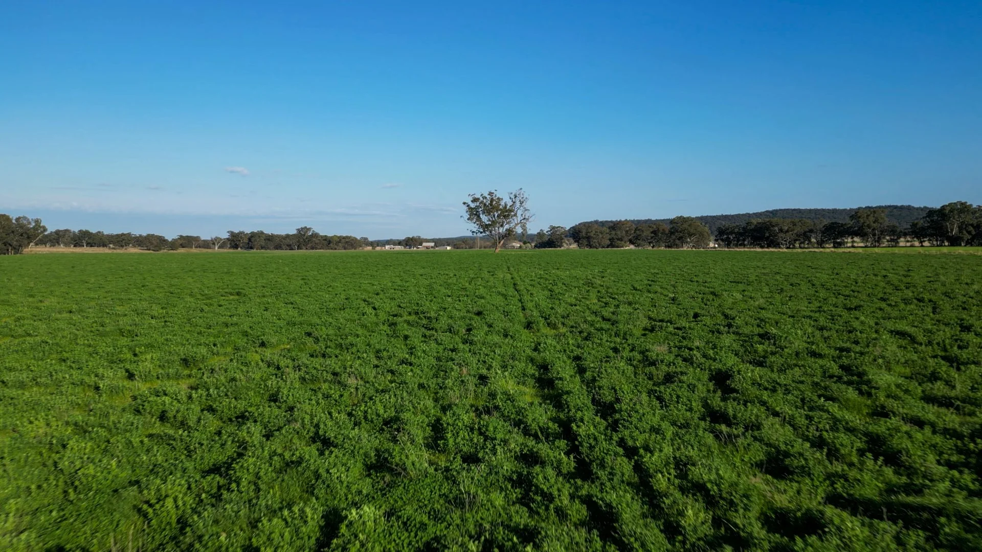 Additional image 2 of 1799 Digilah Road, Dunedoo NSW 2844