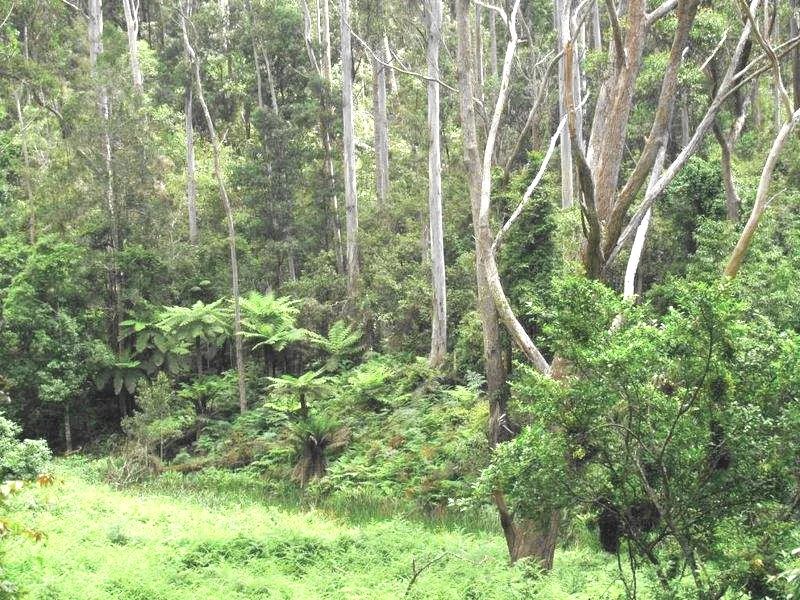 Additional image 19 of 328 Knights Creek Road, Murrah NSW 2546