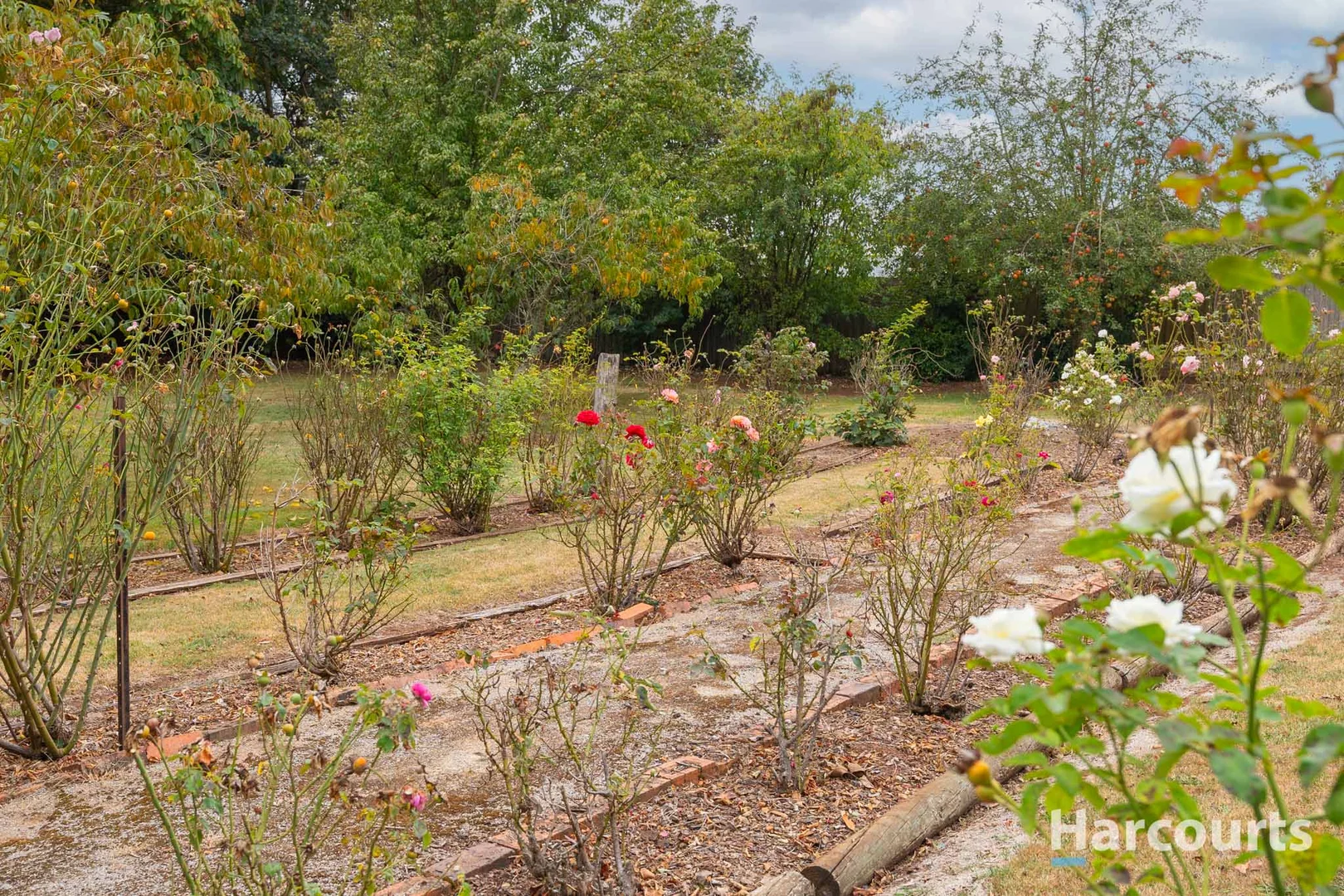 Additional image 20 of 14 Grigg Street, Deloraine TAS 7304