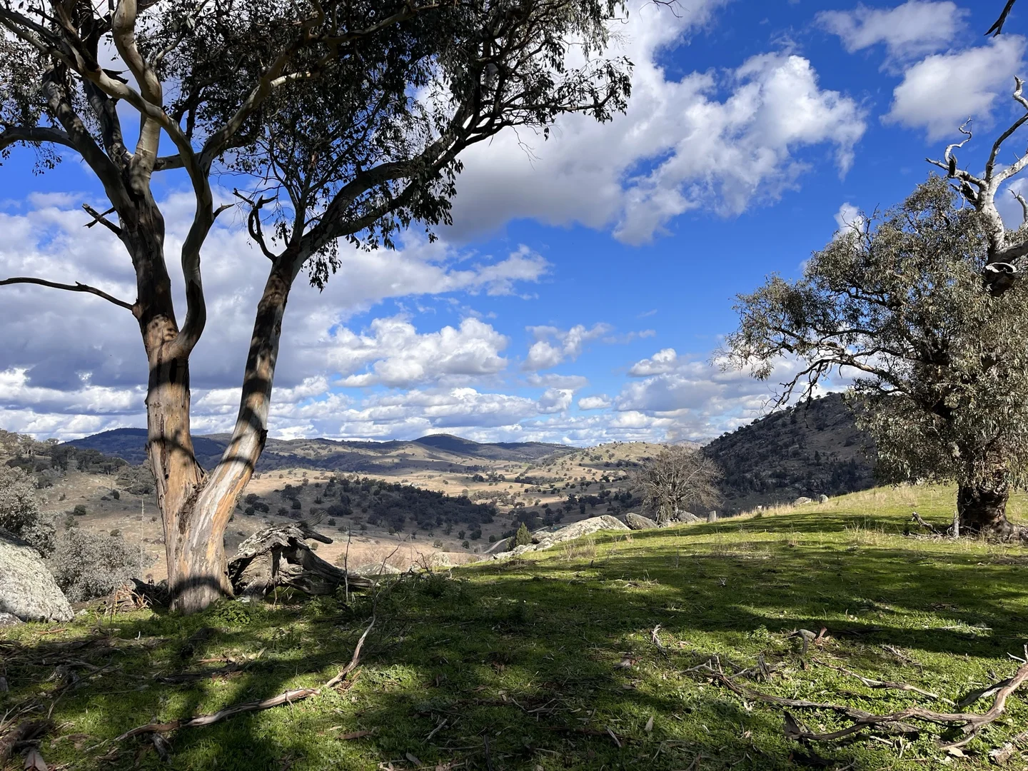 Additional image 15 of Lot 3 Tarrants Gap Road, Wyangala NSW 2808