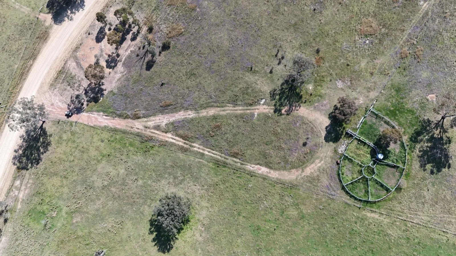 Additional image 8 of "Coolendoon" 810 The Pocket Road, Bukkulla NSW 2360