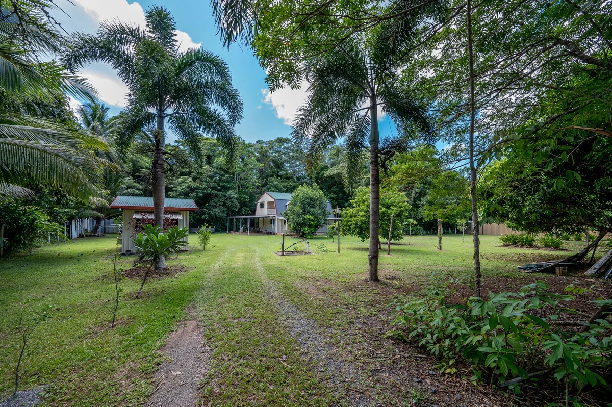 Additional image 6 of 227 Buchanan Creek Road, Cow Bay QLD 4873