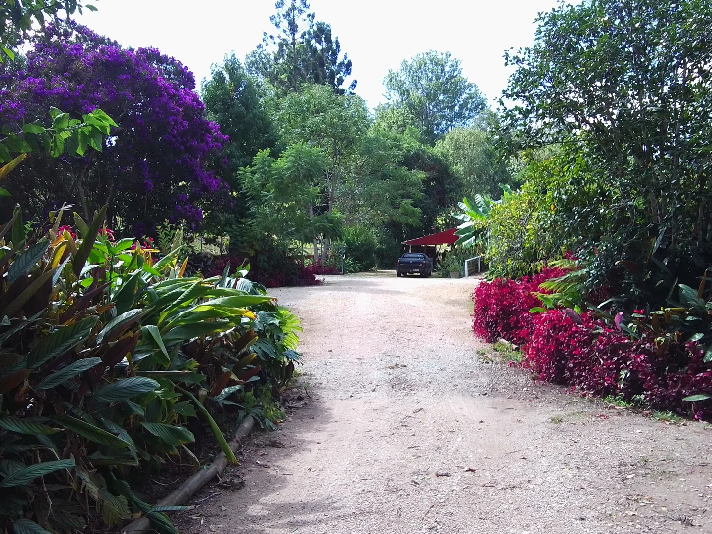 Additional image 3 of 538 Missabotti Road, Missabotti NSW 2449