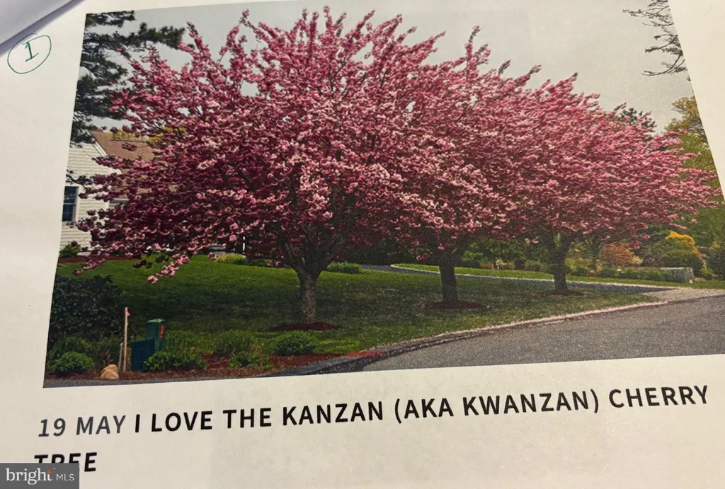 Additional image 55 of 6 Bradley Circle, Middletown, DE 19709