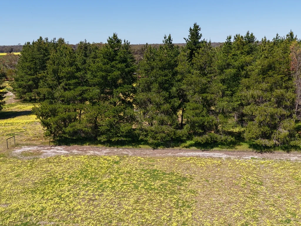 Additional image 48 of 1187 Dale - Kokeby Road, Kokeby WA 6304