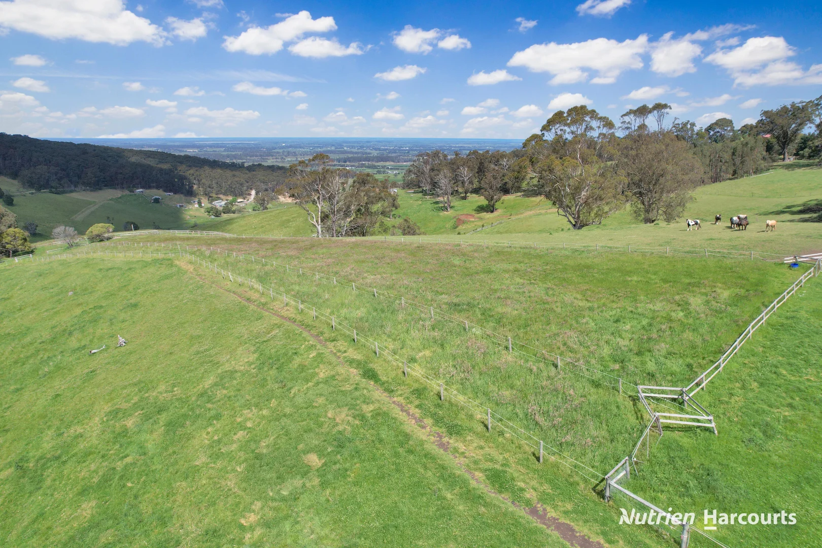 Additional image 21 of 482 Old Whitelaws Track, Devon North VIC 3971