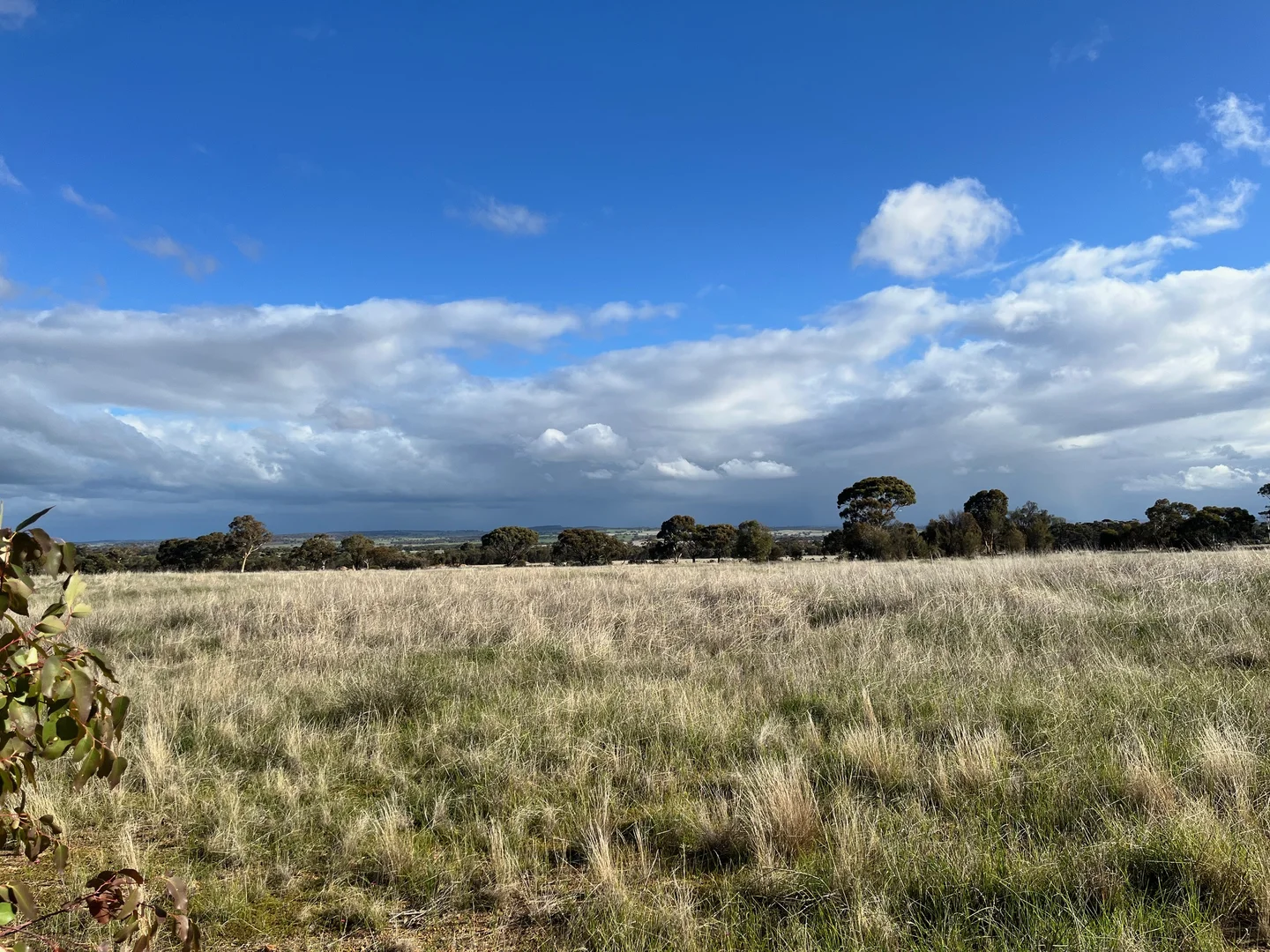 Additional image 6 of 4070 Quairading-York Road, Kauring WA 6302