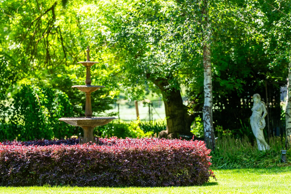 Additional image 14 of 3082 Omeo Highway, Tallandoon VIC 3701