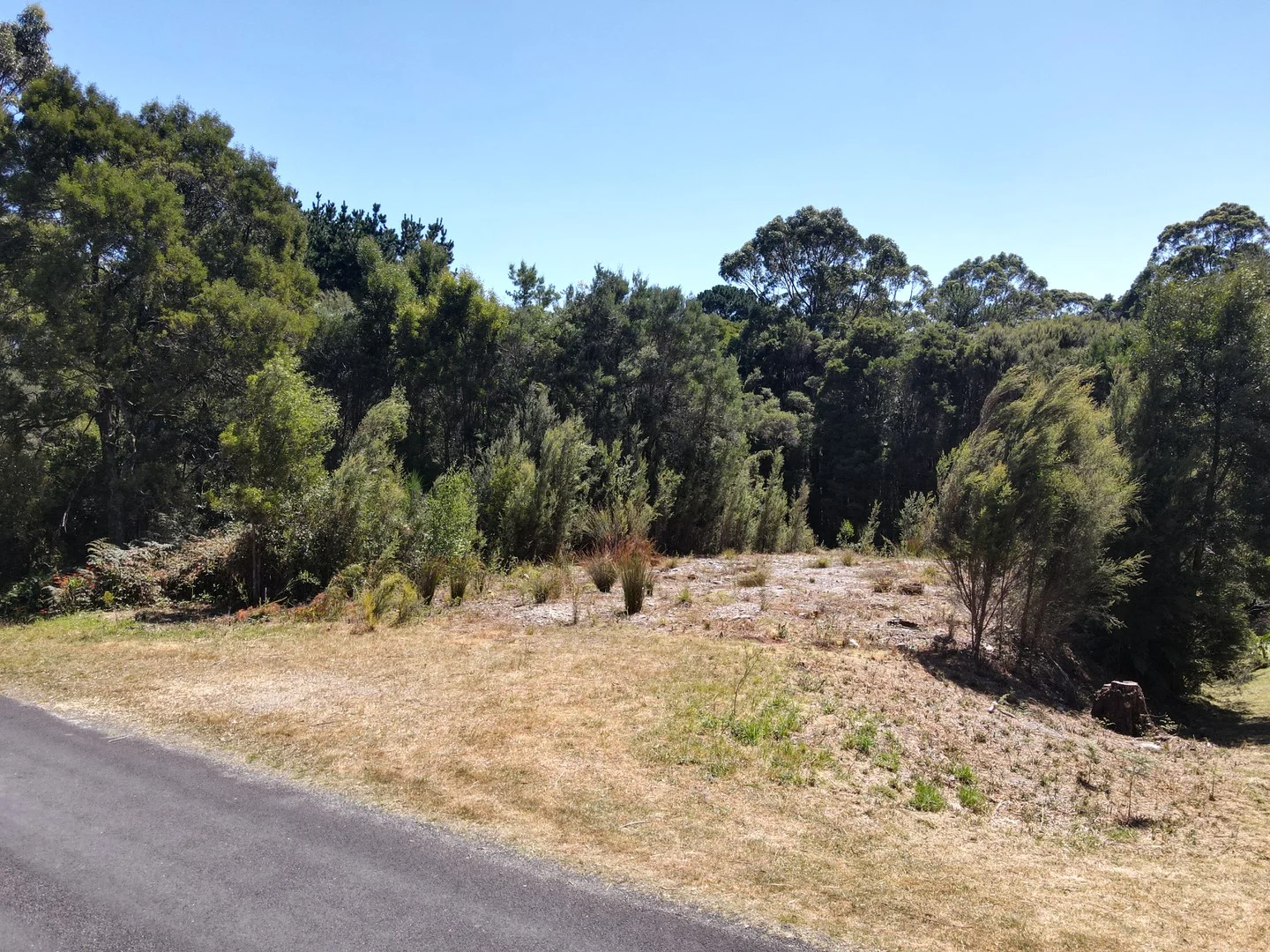 15 Featherstone Street, Strahan TAS 7468