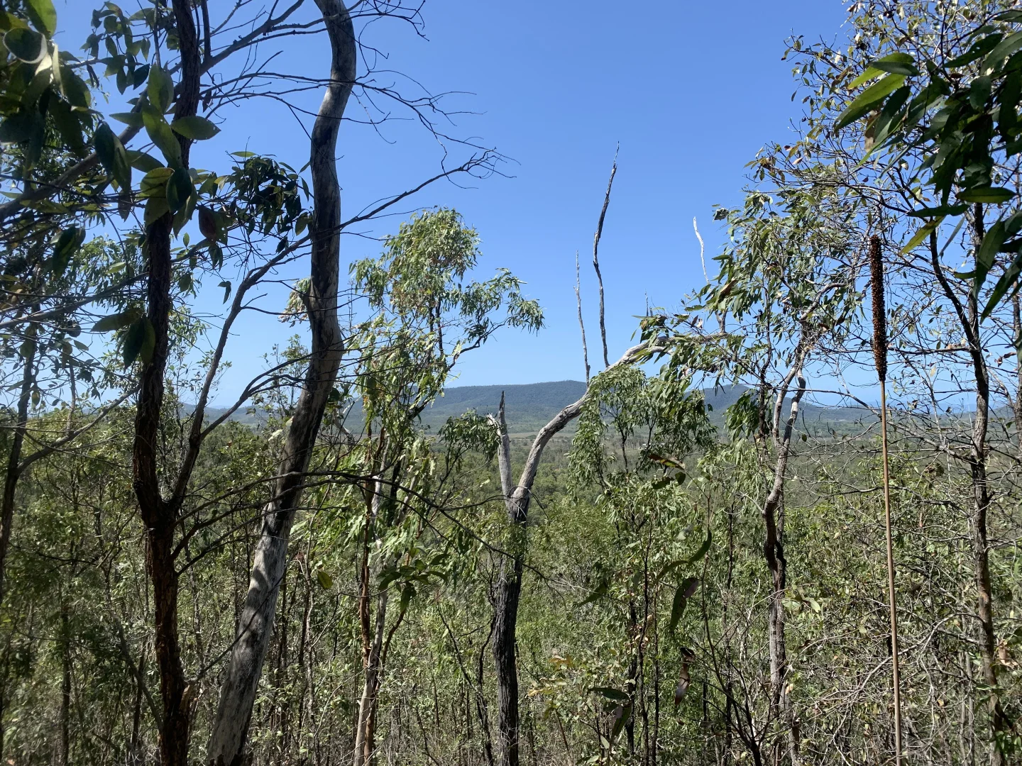 Additional image 3 of LOT 36 Whitsunday Dr, Bloomsbury QLD 4799