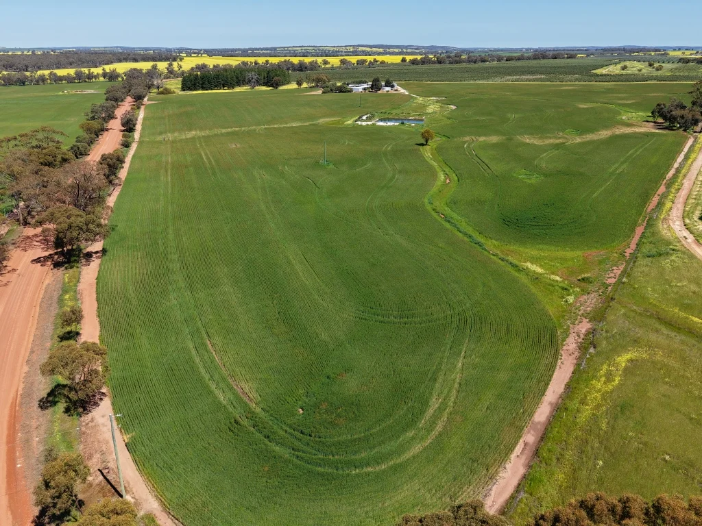 Additional image 53 of 1187 Dale - Kokeby Road, Kokeby WA 6304