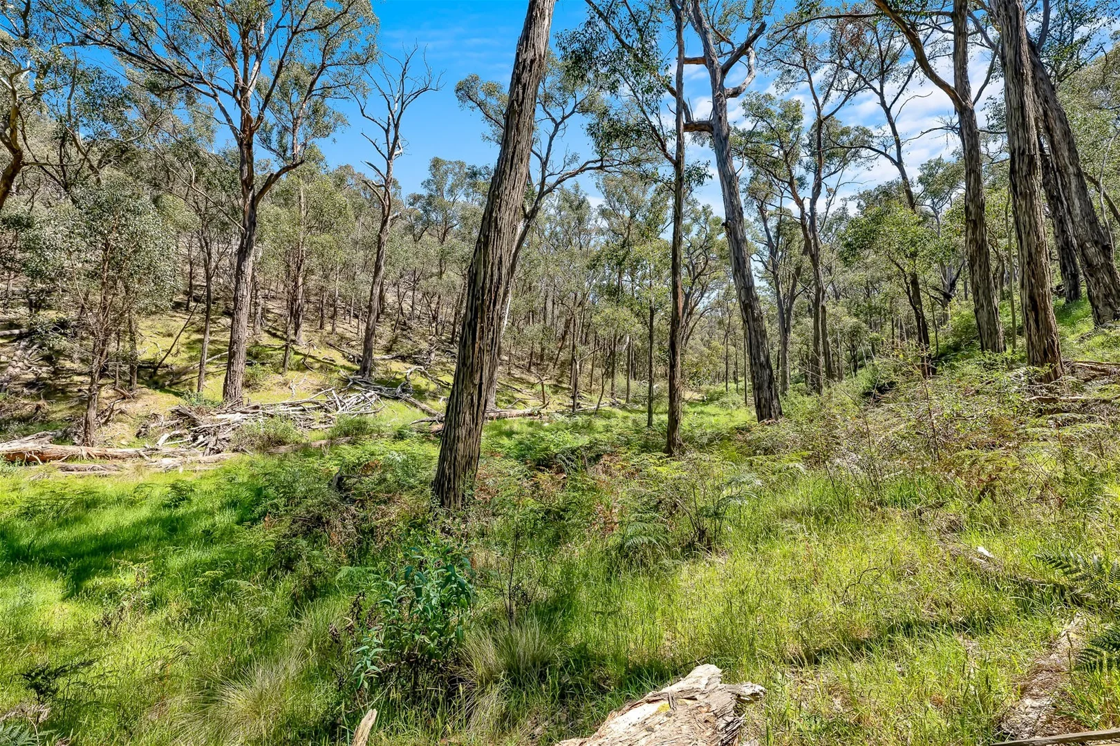 Additional image 22 of 231 Gisborne-Melton Road, Toolern Vale VIC 3337