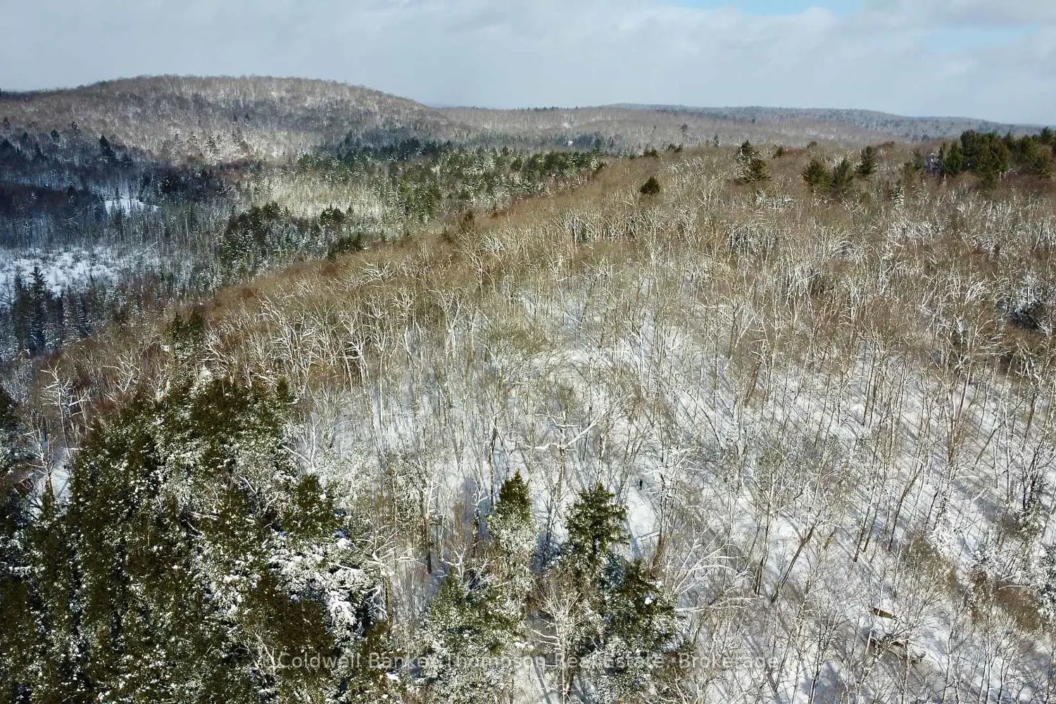 Additional image 3 of 265 Sharon Drive