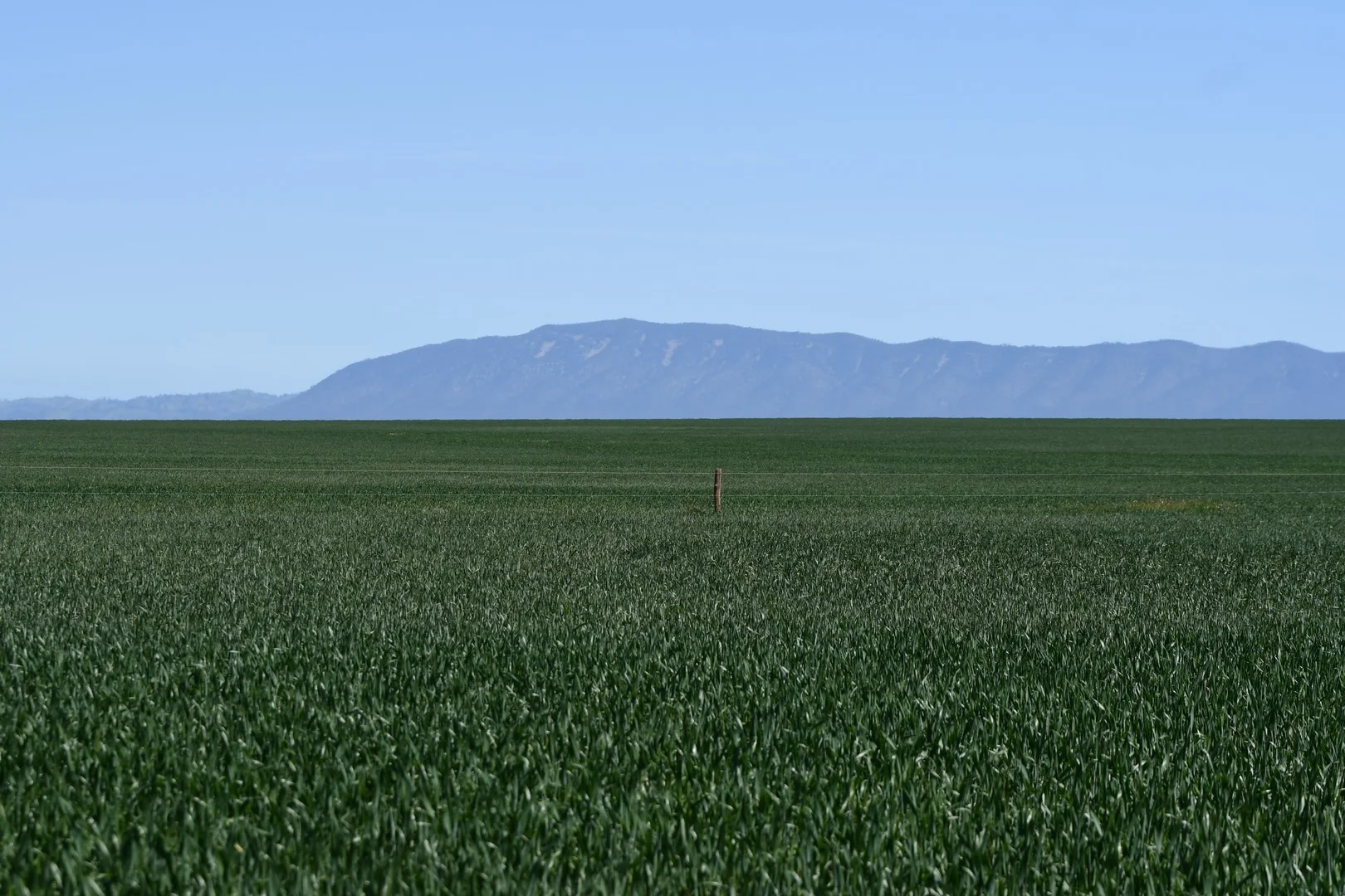 26 Amyton Road, Willowie SA 5431