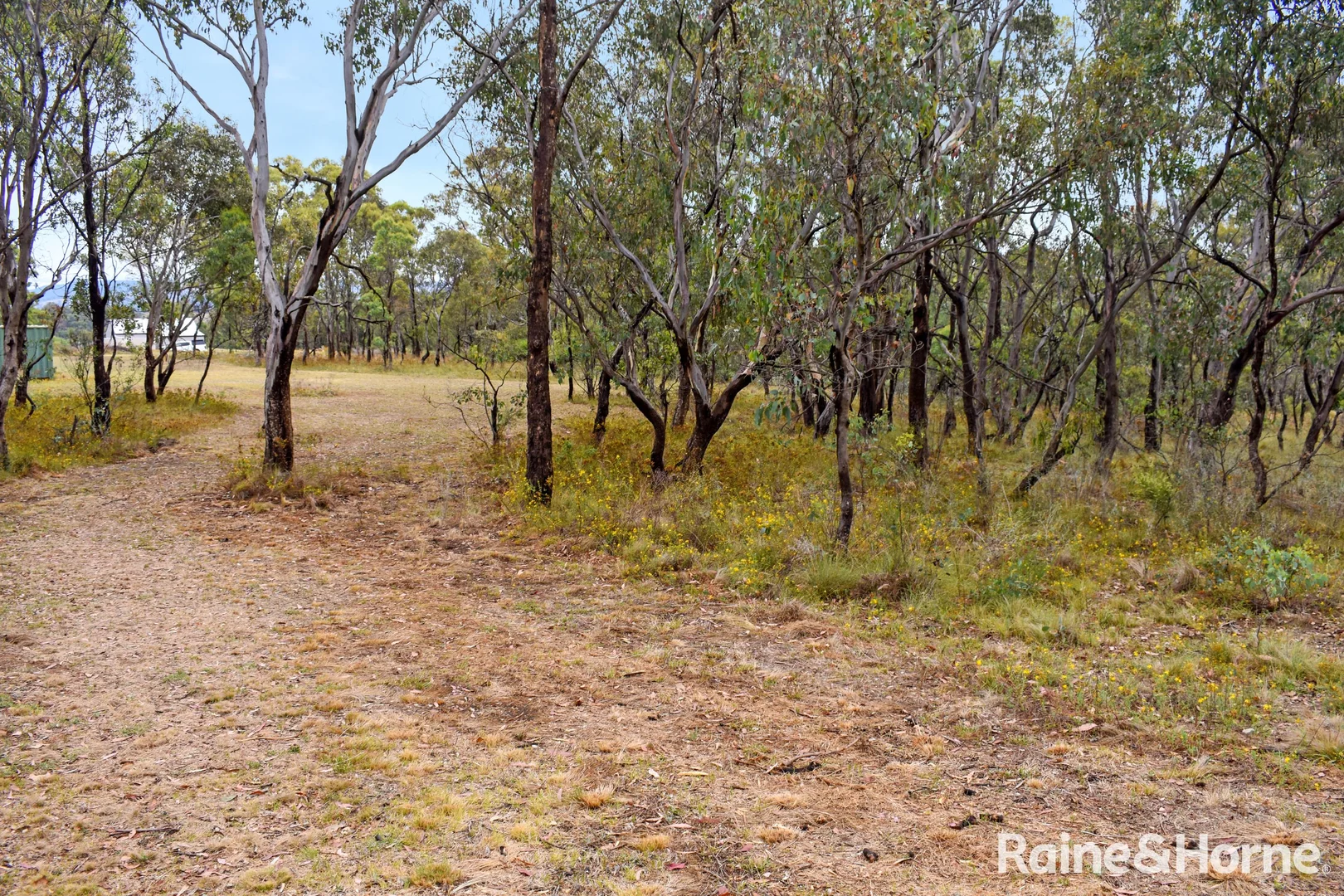Additional image 14 of Lot 171 & 296 Sofala Road, Wattle Flat NSW 2795