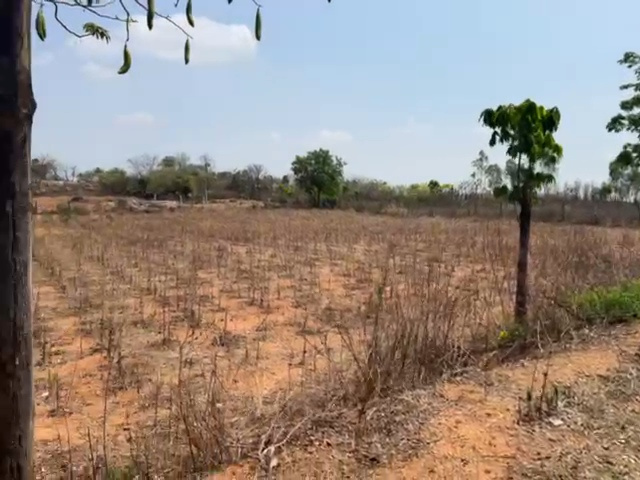 Shadnagar, Hyderabad