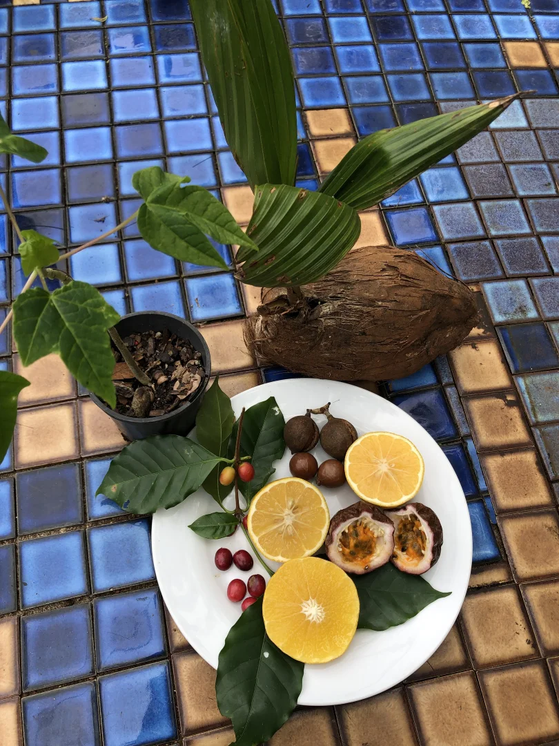 Additional image 29 of 516 Brooks Road, Mungalli QLD 4886