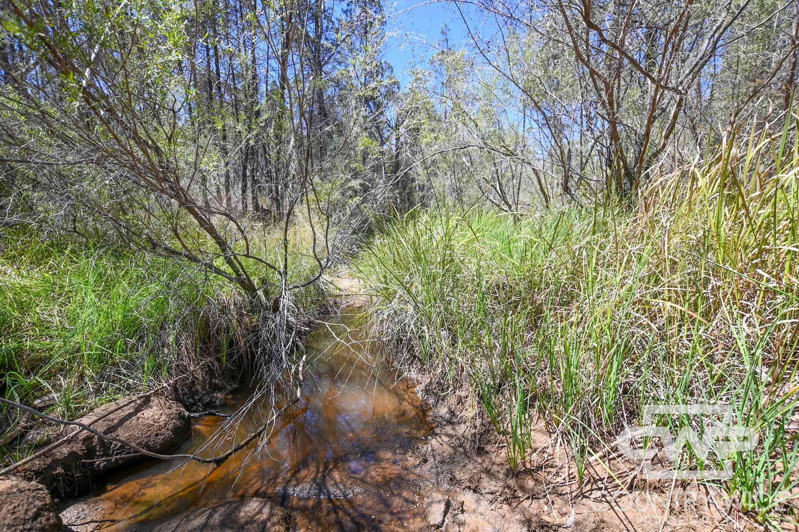 Additional image 10 of 11 Old Stannifer Road, Gilgai NSW 2360