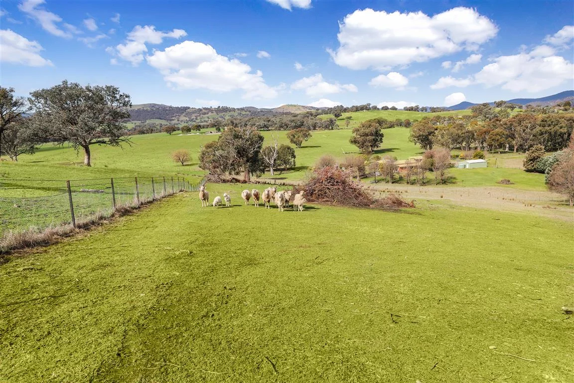 Additional image 8 of 86 Cloverdale Road, Tumut NSW 2720