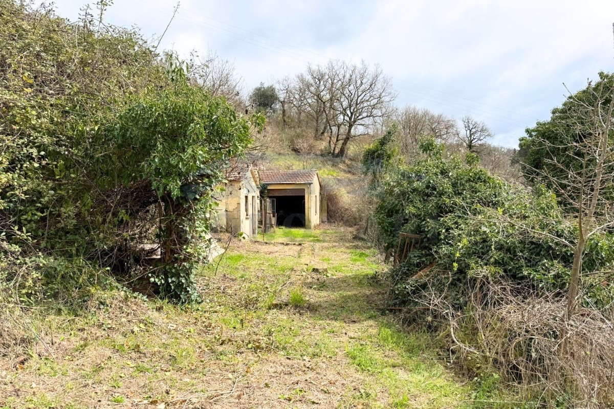 Additional image 3 of San Casciano dei Bagni (Siena)