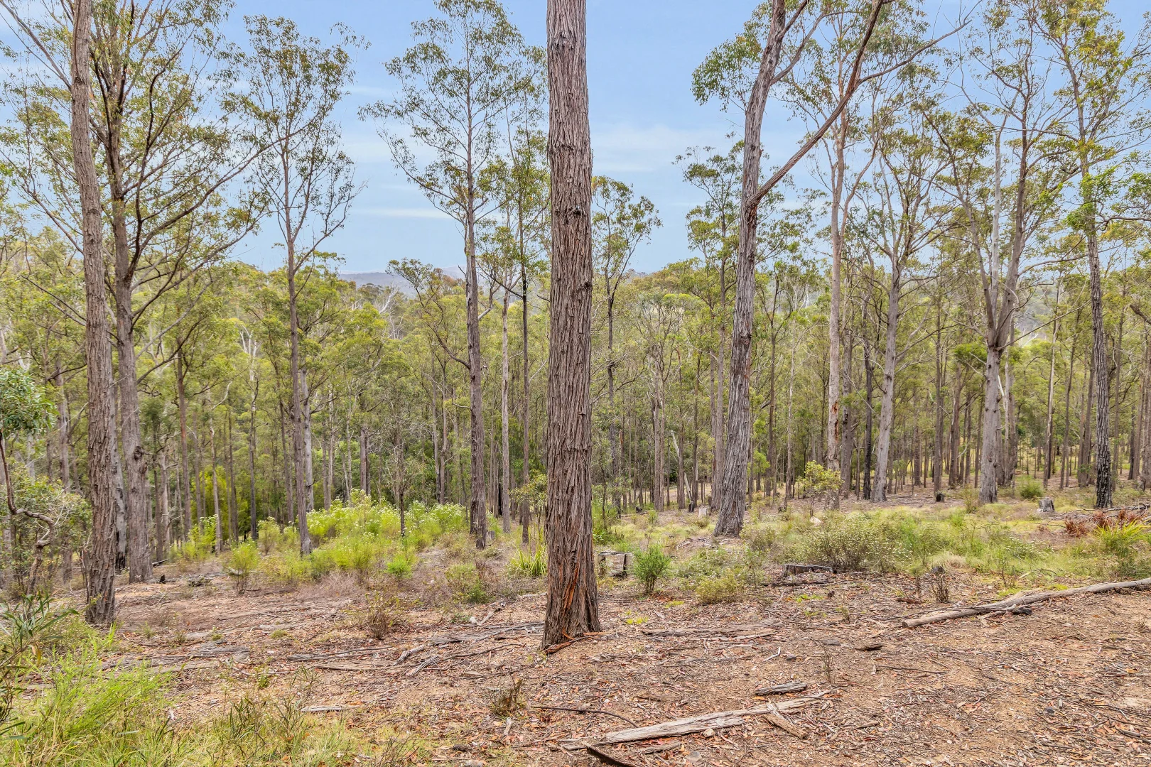 Additional image 3 of 82 Barrabooka North Road, Tanja NSW 2550