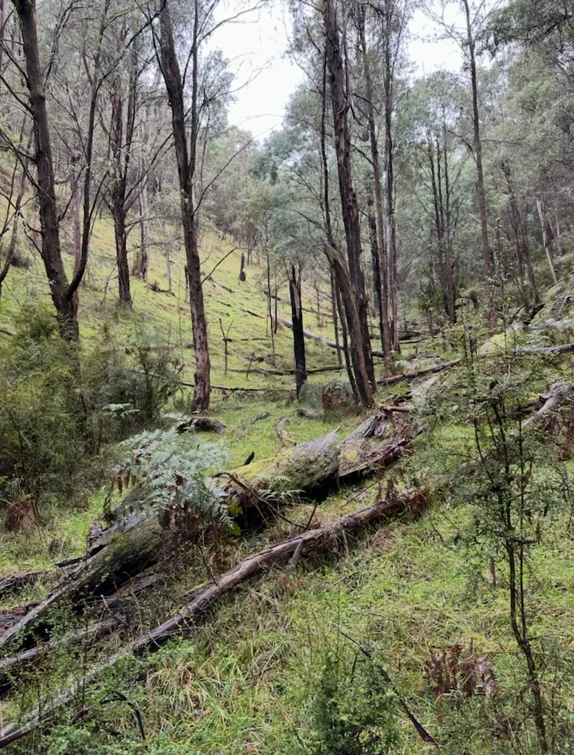 Additional image 2 of 37 Taylors Road, Jamieson VIC 3723