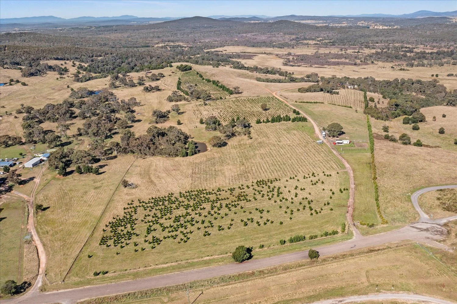 Additional image 42 of 134 Lakeview Road, Tarago NSW 2580