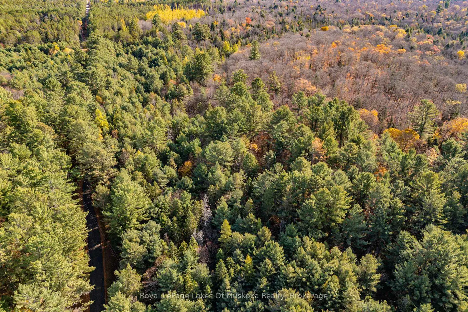 Additional image 5 of 267 & 321 Cardwell Lake Road