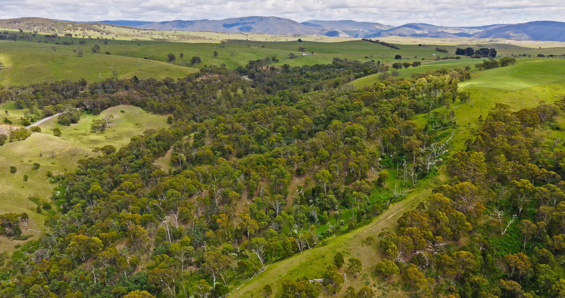 Additional image 8 of Lot 2 - 289 Tongio Gap Road, Tongio VIC 3896