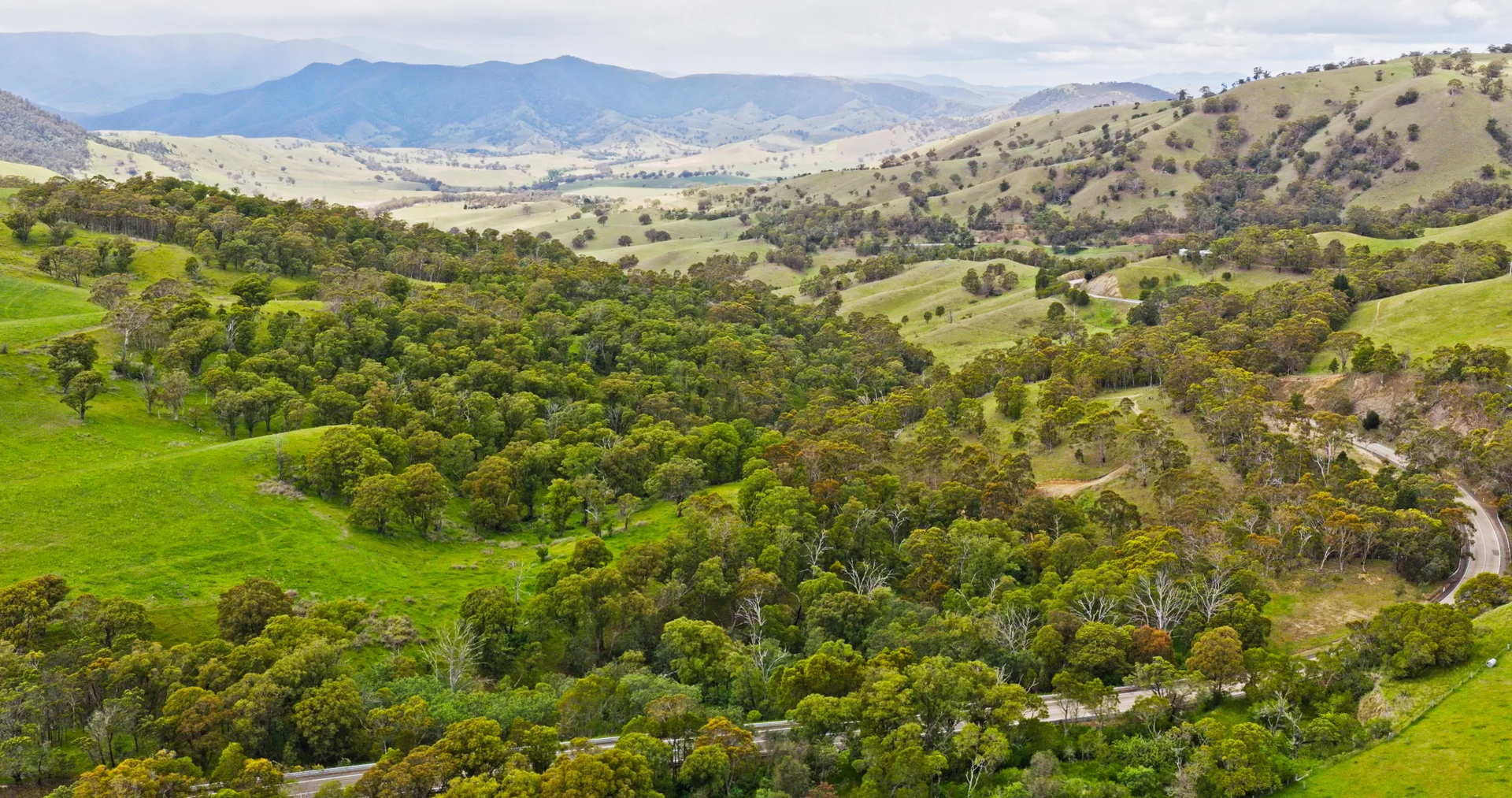 Additional image 3 of Lot 2 - 289 Tongio Gap Road, Tongio VIC 3896