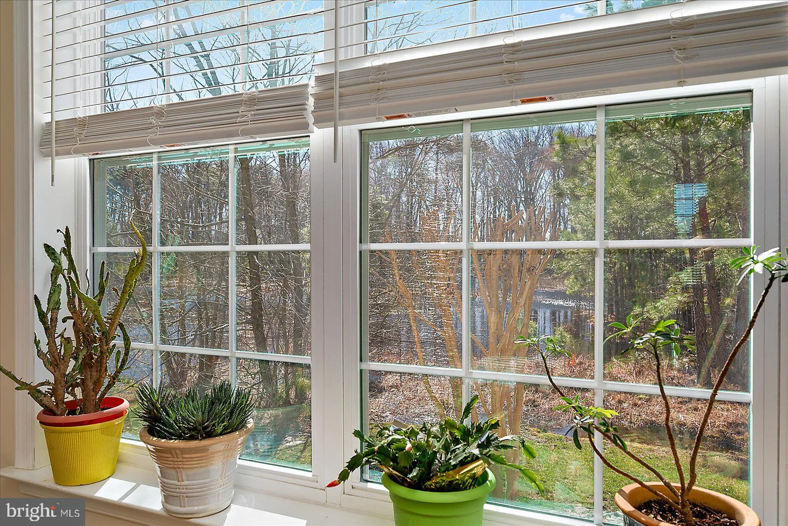 Additional image 120 of 38734 Soft Beach Circle, Selbyville, DE 19975