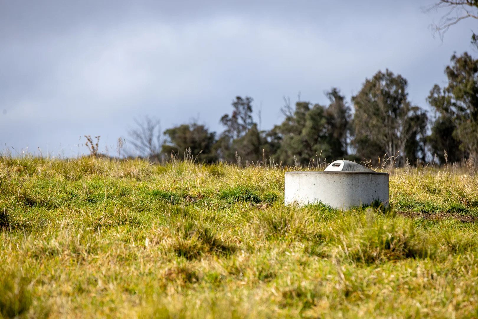 Additional image 8 of 737 Dyamberin Road, Wongwibinda NSW 2350