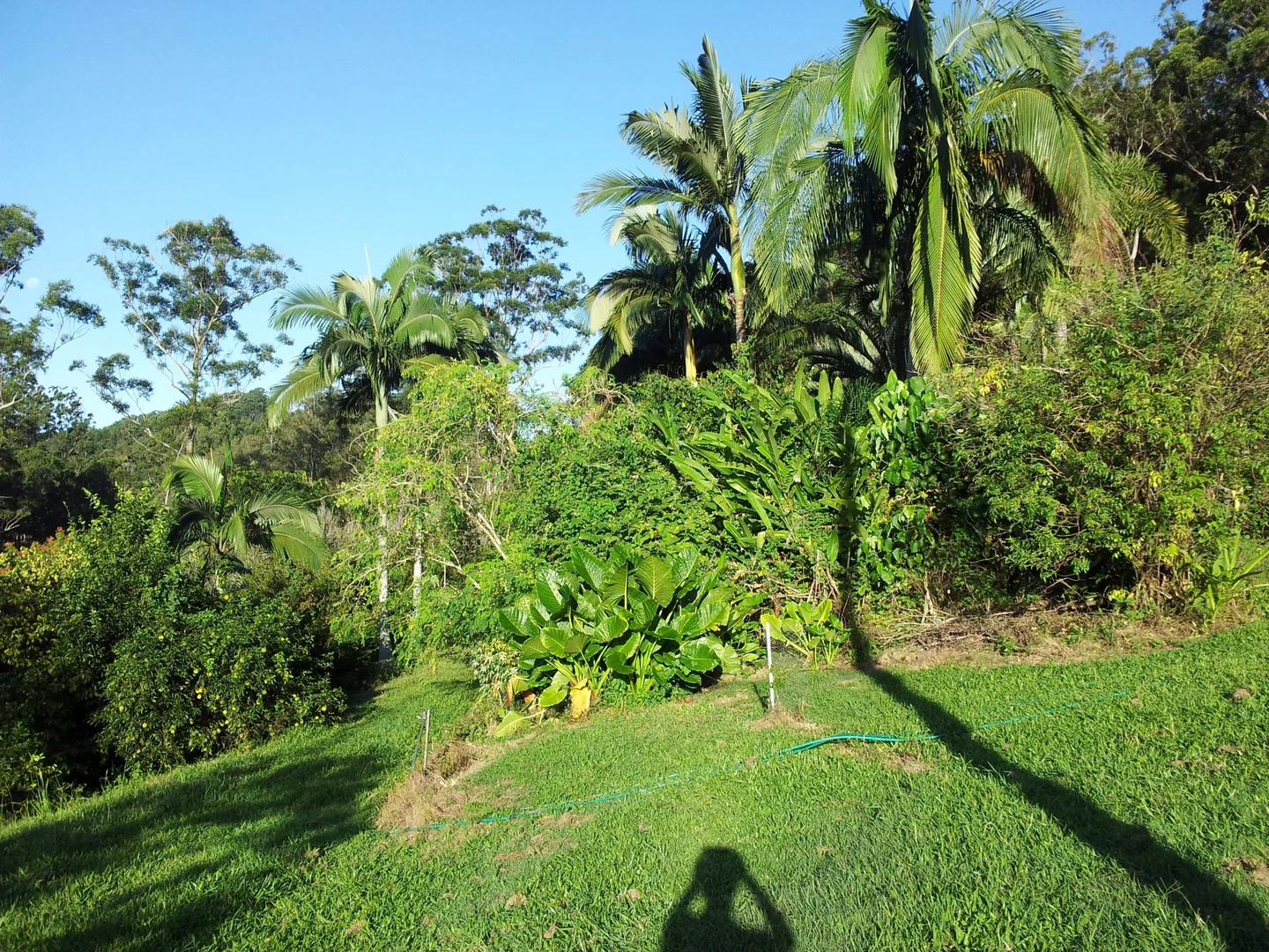 Additional image 22 of 74 Sudholz Road, Verrierdale QLD 4562