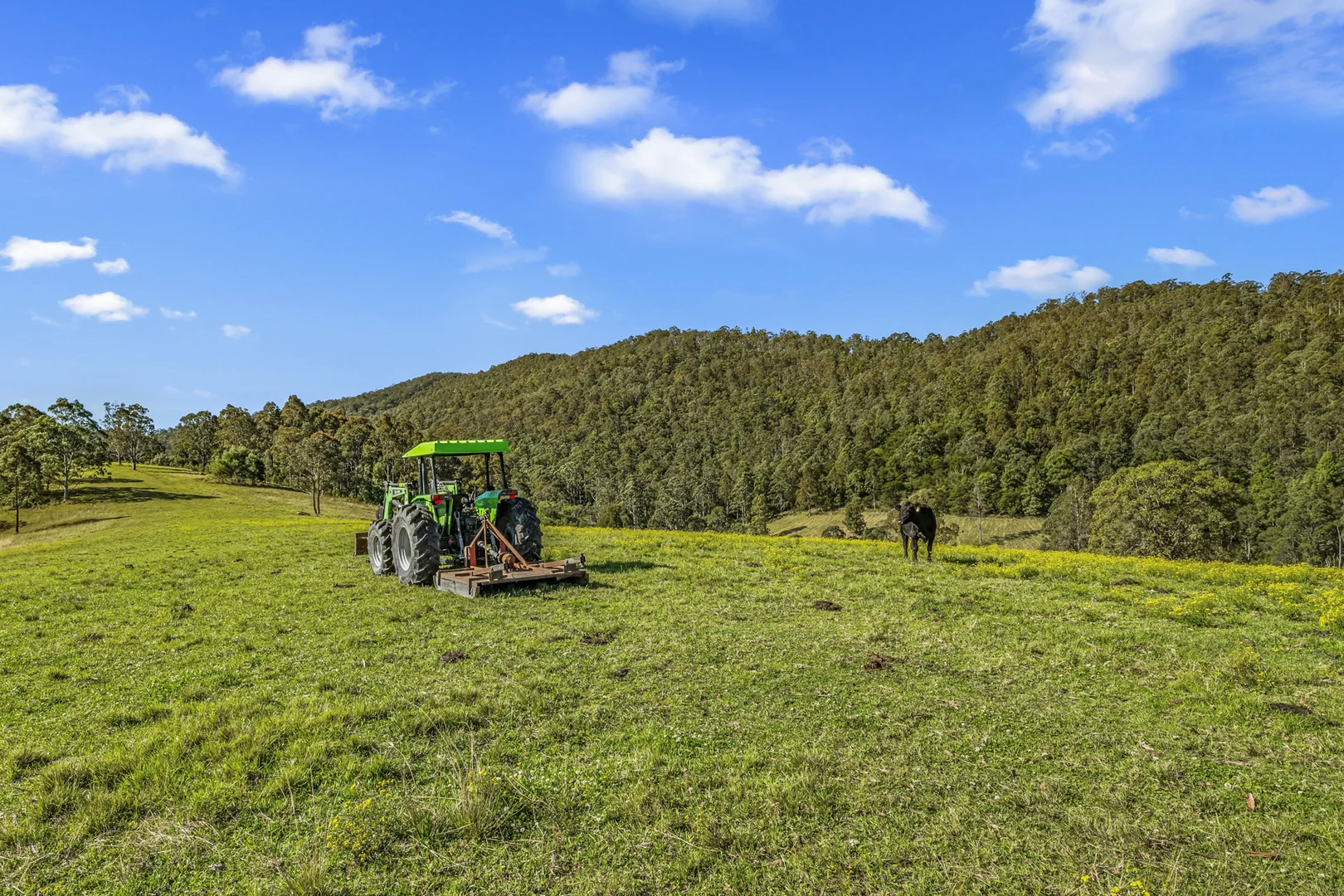 Additional image 18 of 345 Glen Road, Craven NSW 2422