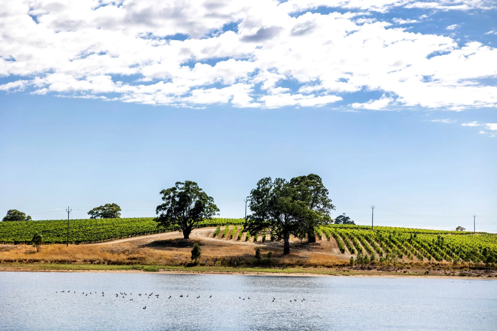 Additional image 12 of 1282 Torrens Valley Road, Birdwood SA 5234