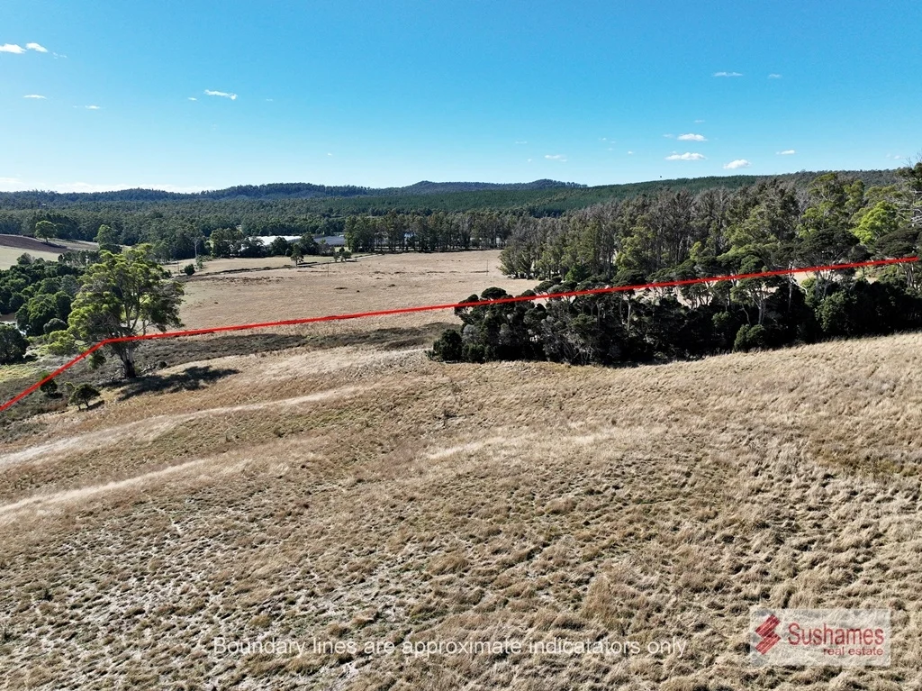 Additional image 20 of Lot 2 Storys Road, Lebrina TAS 7254