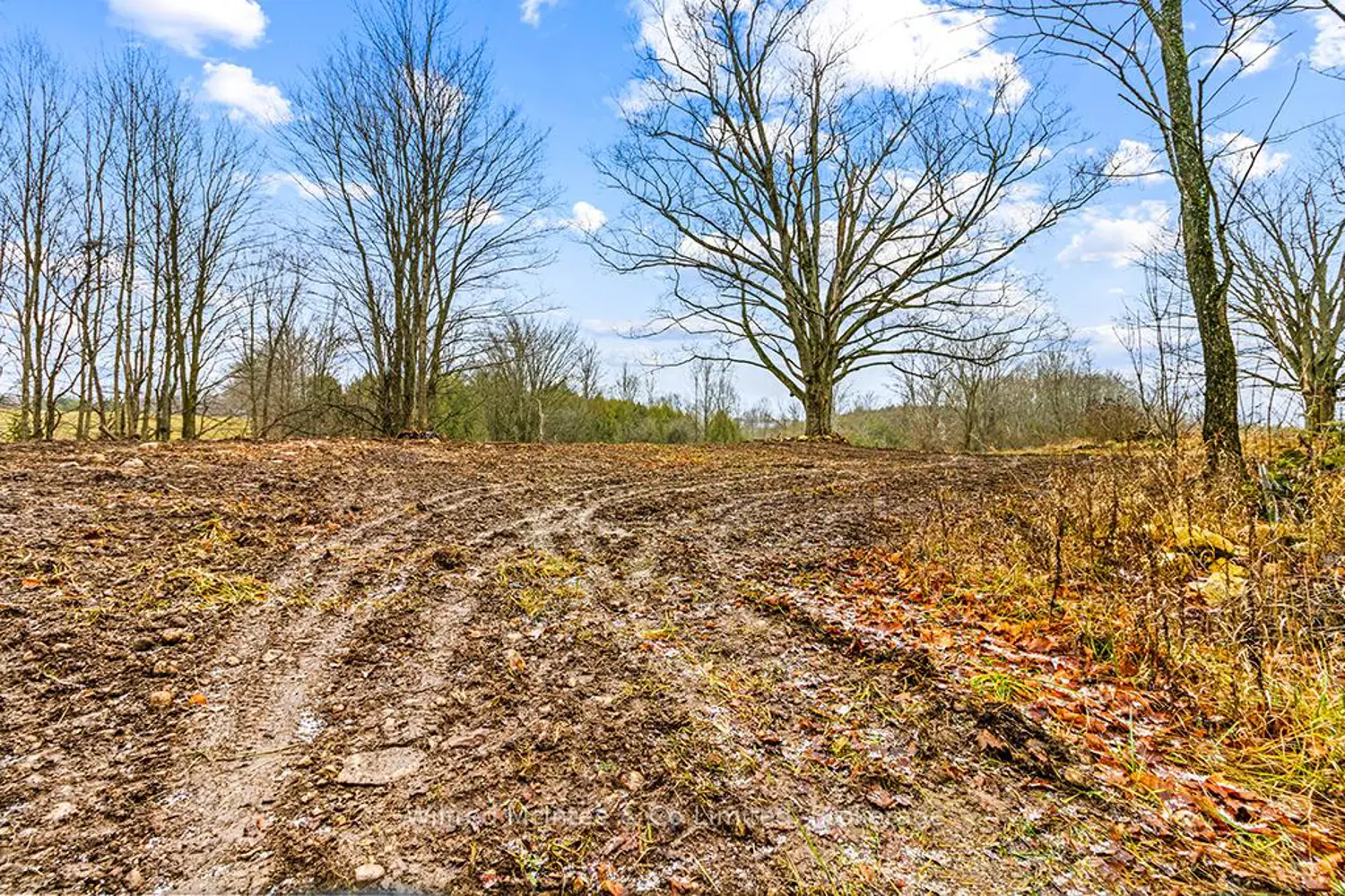 Additional image 3 of Ptlt 16 5 Side Road Part 2 16R6350