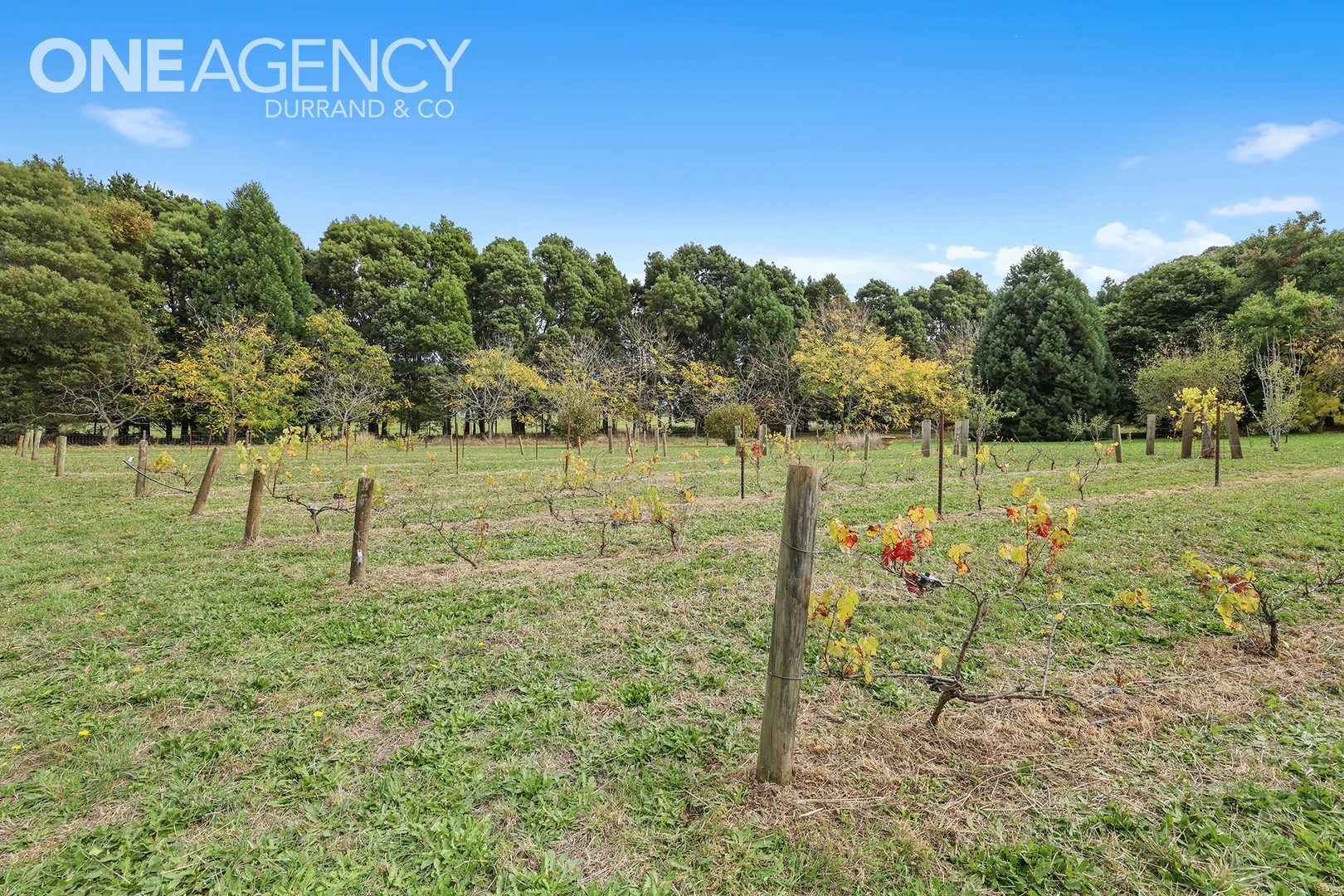 Additional image 28 of 255 Neerim North Road, Neerim North VIC 3832