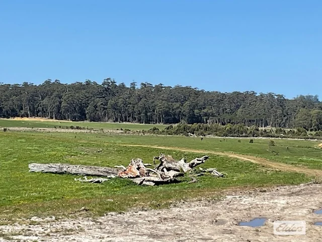 Additional image 69 of Dawkins Road, Lileah TAS 7330